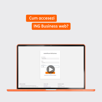 Generare grafic de rambursare credit în ING Business web