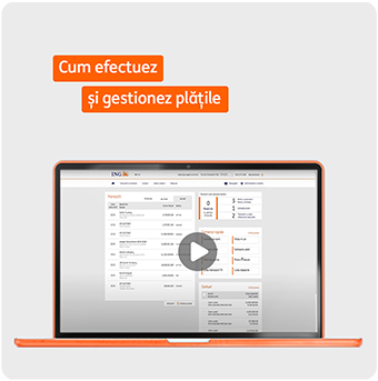 cum efectuez platile