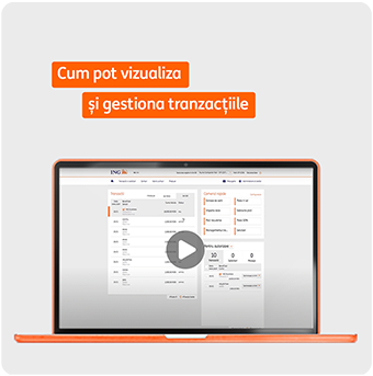 cum pot vizualiza tranzactiile