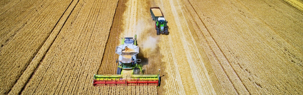 Agricultura poate să alimenteze mai bine PIB-ul României 